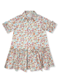 Darcy Dropwaist Dress - Whimsy Blooms
