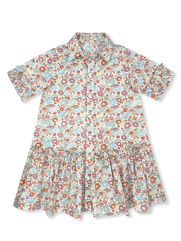 Darcy Dropwaist Dress - Whimsy Blooms