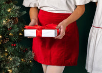 Claire Skirt   - Ruby Red Velvet